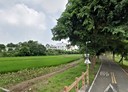 大雅區-土地，287.9坪