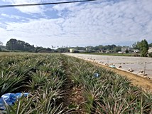 南投民間農地