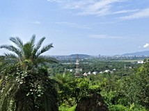 花蓮依山傍水農地