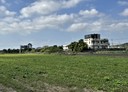 頭屋鄉-土地，977坪
