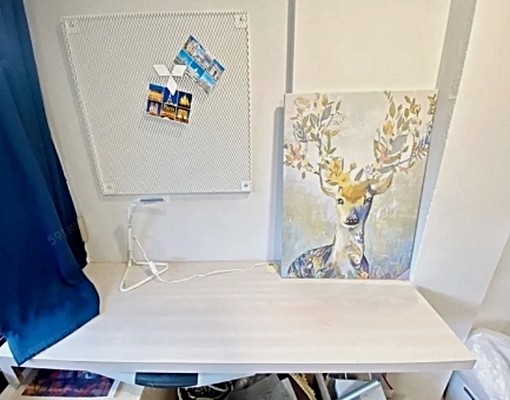 ✨可租屋補助✨小資首選✨全新整理✨學生最愛 - Image 6