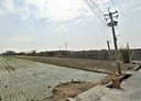 花壇鄉-彰花路土地，490.6坪