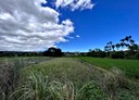 大溪區-土地，180.6坪