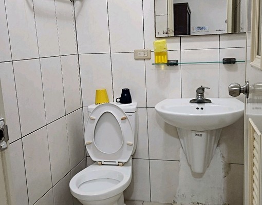 府中亞東雙機運 - Image 4