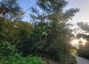 杉林區-土地，343.3坪