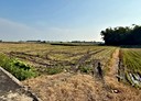 大林鎮-土地，847.3坪