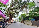 北投區-泉源路1房1廳，12.6坪