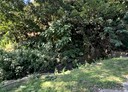 太平區-頭汴坑段土地，764.1坪