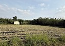 歸仁區-沙崙北路土地，321.3坪