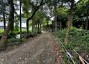 埔里鎮-鯉魚潭段土地，156.2坪
