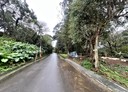 大溪區-三層段土地，678.8坪