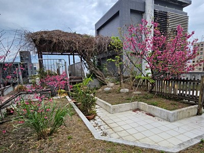 社區圖片