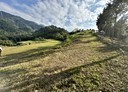 竹山鎮-土地，5099坪