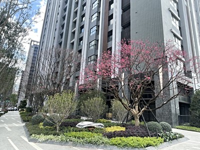 社區圖片