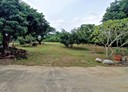 太平區-土地，889.4坪
