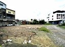 大樹區-大樹保安段土地，147.5坪