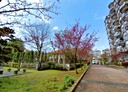 新店區-安祥路2房1廳，37.4坪