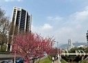 北投區-天母西路3房2廳，119.8坪