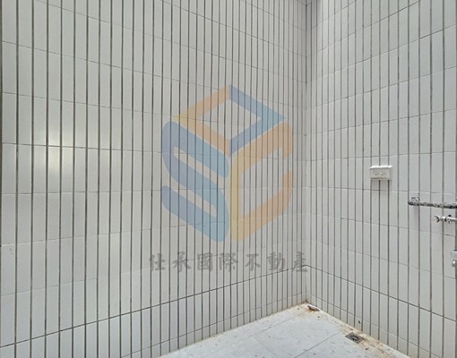 【02C18,全新交屋,整棟出租,臨路透天,門前車】 - Image 10