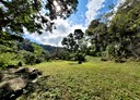 芎林鄉-王爺坑土地，3025.9坪