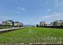 員山鄉-深惠段土地，698坪