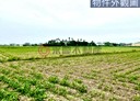 佳里區-土地，867.3坪
