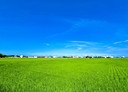 礁溪鄉-土地，772坪