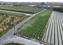 仁德區-中生街土地，558坪