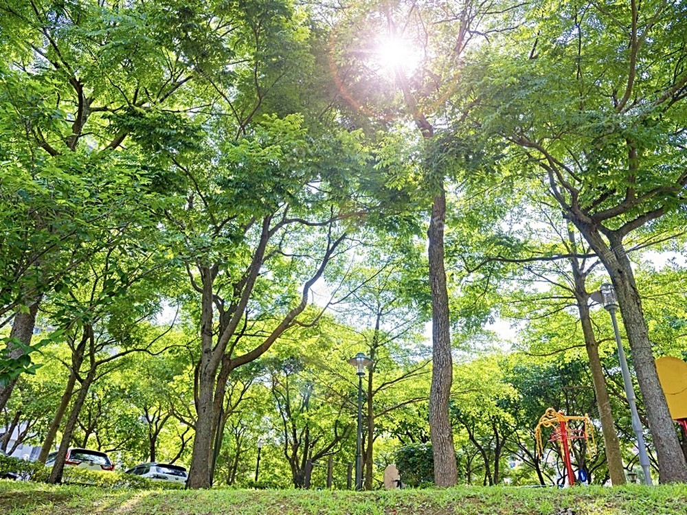 房屋圖片