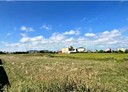 苑裡鎮-土地，689.8坪