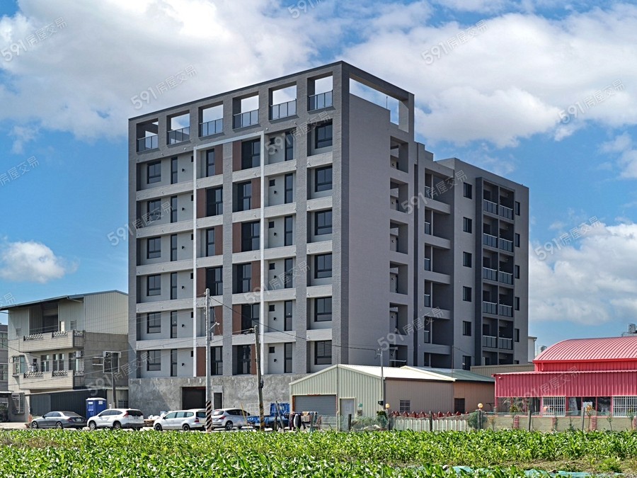 五十皇冠6封面圖