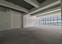 土城區-新洲路廠房，46.7坪