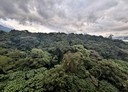 淡水區-學府路3房2廳，35.7坪