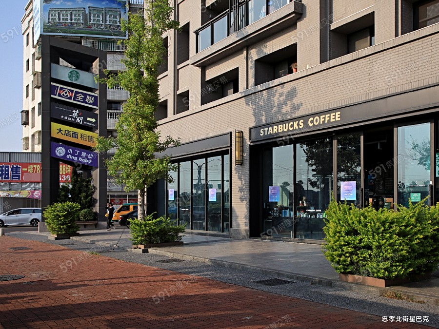 三貴星空樹環境圖