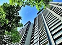 西屯區-市政路開放式格局，130坪