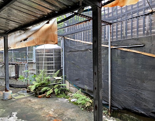 關渡國小對面獨立套房含水網路第四台 - Image 9