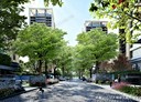 西屯區-福科路3房2廳，78.4坪
