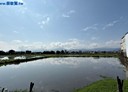 五結鄉-土地，80.5坪