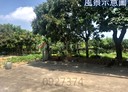 新豐鄉-崁頭6房3廳，74.4坪