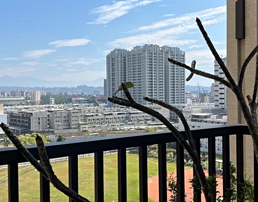 租|全新未住|楠梓銳揚天鵝堡|台積電R21捷運宅2房 - Image 12