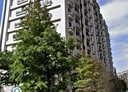 八德區-仁德一路2房1廳，41坪