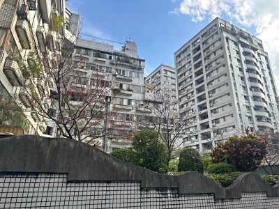 內湖森之林精緻套房