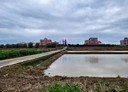 中壢區-山下段土地，505.8坪