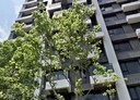 竹北市-華興三街3房2廳，45.9坪