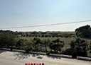 善化區-土地，3543.2坪