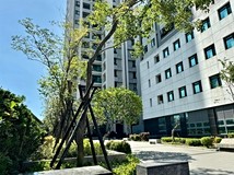 上墩路💫薯薯(專)【西屯青..