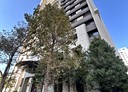 西屯區-環中路二段4房2廳，78.2坪