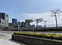 淡水區-中正東路一段2房1廳，24.2坪