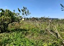歸仁區-土地，1221.5坪
