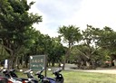 信義區-中坡南路2房2廳，23.7坪
